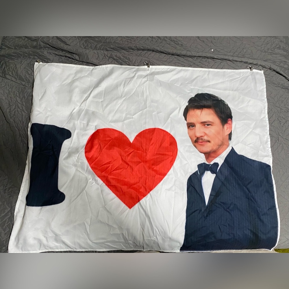 I Love Pedro Pascal Banner With clips